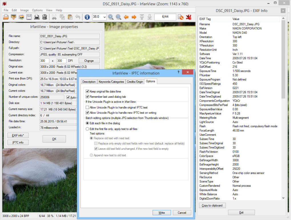 free irfanview download for mac